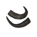 Buffalo Horns - Large (Pack of 5)