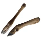 Dried Deer Legs - Hairy