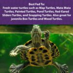 Mazuri Aquatic Turtle Diet 9.07kg - Image 7