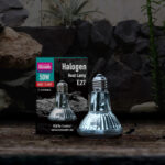 Arcadia Halogen Flood Lamp, 50w (RSHA50E27)