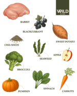 Wild Cold Pressed - Rabbit 2.5kg - Image 2