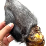 Dried Buffalo Hairy Ears with Meat - Pack of 50