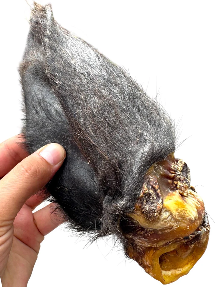 buf ear hairy Dried Buffalo Hairy Ears with Meat - Pack of 50 - Image 1