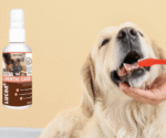 LUCAA+ Probiotic Dental Care Spray for Pets – 100ml - Image 2