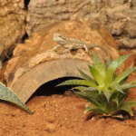 HabiStat Log Hideout - Image 2