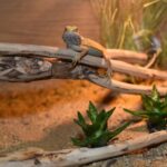 HabiStat Tea Tree Branch - Image 6