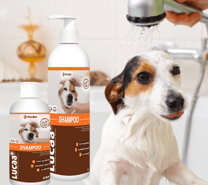 LUCAA-Pet-Probiotic-Dog-Shampoo-e1676045004442 LUCAA+ Probiotic Shampoo for Pets - Image 1