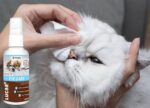 LUCAA+ Probiotic Eye Care - Image 3